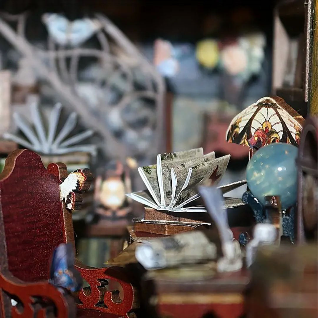 Book Nook - Sala della Collezione di Farfalle